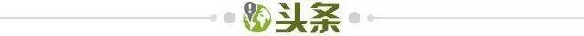 开云APP下载-【早报】逆转DNA，皇马绝杀曼城抢晋级先机